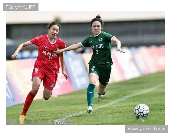 杭州排球队比赛经验分析与数据解读探讨